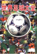 世界足球大全 下 第2版