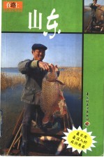在路上自助游系列指南 山东