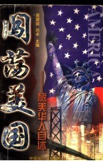 闯荡美国 旅美华人自述