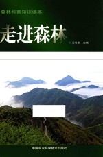 走进森林