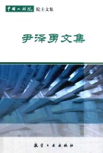 中国工程院院士文集 尹泽勇文集