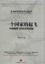 一个国家的起飞 中国商用飞机的生死突围
