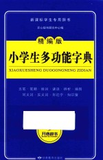 开心辞书 新课标学生专用工具书 小学生多功能字典 精编版