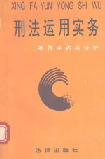 刑法运用实务 案例评述与分析