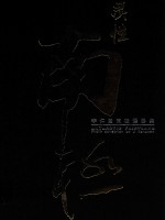 灵性南极 李仁臣南极摄影集