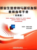 职业生涯规划与就业指导教师指导手册 实践篇