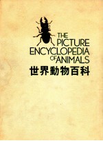 世界动物百科 图集 无脊椎动物