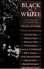 BLACK AND WHITE CULTURAL INTERACTION IN THE ANTEBELLUM SOUTH