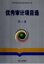 优秀审计项目选 第2集
