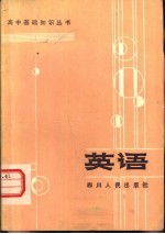 高中基础知识丛书 英语