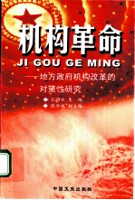 机构革命 地方政府机构改革的对策性研究