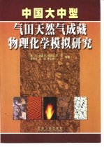 中国大中型气田天然气成藏物理化学模拟研究