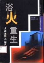 浴火重生 全面革新与企业转型