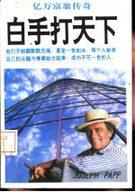 白手打天下 亿万富翁传奇