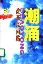 潮涌 改革风雨路