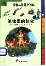 池塘里的秘密