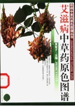 艾滋病中草药原色图谱