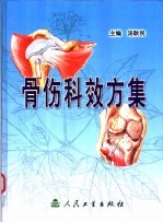 骨伤科效方集