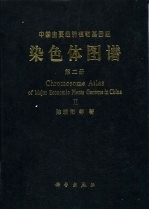 中国主要经济植物基因组染色体图谱 第2册 中国农作物及其野生近缘植物染色体图谱
