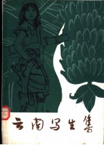 云南写生集 第1集