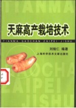 天麻高产栽培技术