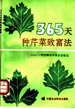 365天种芹菜致富法