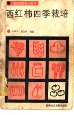 西红柿四季栽培