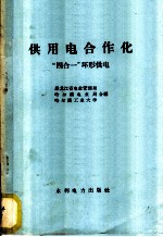 供用电使用化 “四合一”环形供电
