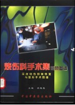 烧伤科手术集彩色图谱 深度烧伤创面与整形手术图谱