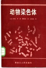 动物染色体