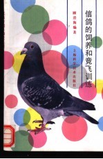 信鸽的饲养和竞飞训练