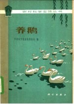 养鹅