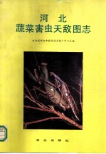 河北蔬菜害虫天敌图志