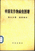 中国农作物病虫图谱 第9分册 蔬菜病虫
