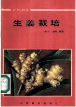 生姜栽培