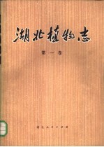 湖北植物志 第1卷
