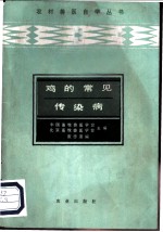鸡的常见传染病