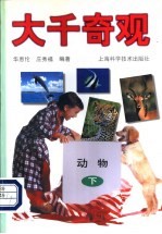 大千奇观·动物 下