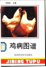 鸡病图谱