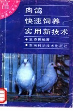 肉鸽快速饲养实用新技术