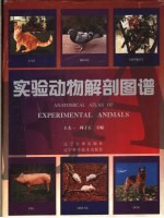 实验动物解剖图谱 中英文本
