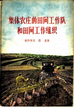 集体农庄的田间工作队和田间工作组织