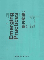 新兴实践 设计的专业、价值与途径
