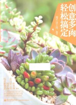 创意多肉 轻松搞定