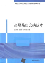 高级路由交换技术