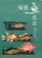 福建鱼类志 上