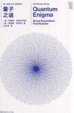第一推动丛书 物理系列 量子之谜