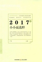 2017年小小说选粹