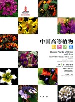 中国高等植物彩色图鉴 第4卷 被子植物 罂粟科 毒鼠子科