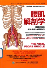 腰肌解剖学 缓解疼痛的腰肌保护与修复练习